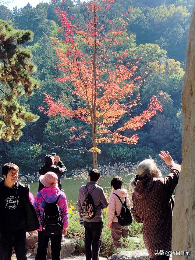 以我4次经历，带你打卡北京香山，北京的朋友请补充