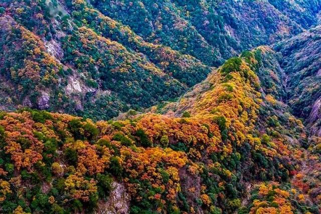 大山里的仙境，漫山红叶，斑斓如画，藏着中国最“英雄”的秋天！