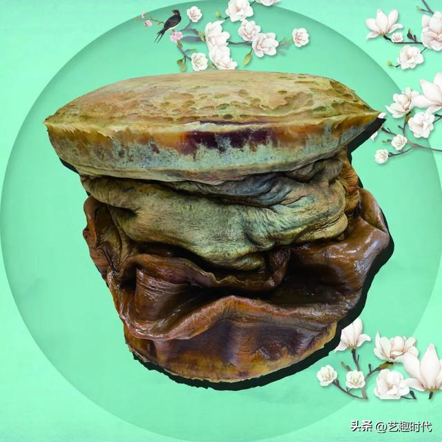 总重318斤！3A景区天津瓷艺园三株罕见野生太岁品相完好引关注