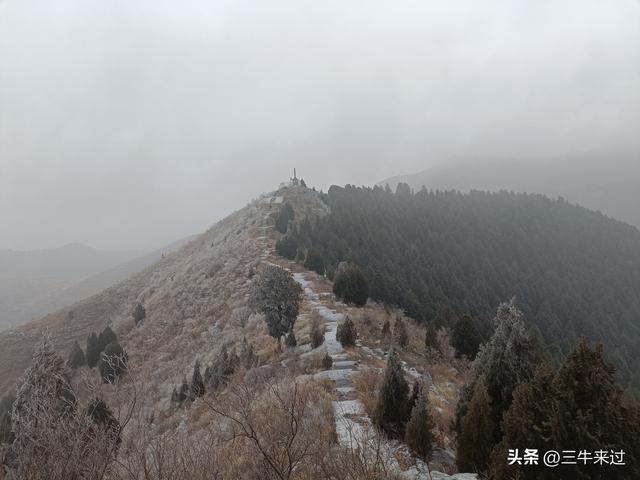 无为在歧路，何处寻雾凇