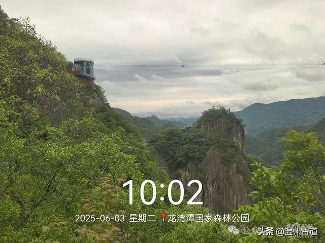 温州这个亲子游玩胜地、植物自然课堂孩子玩嗨家长不累