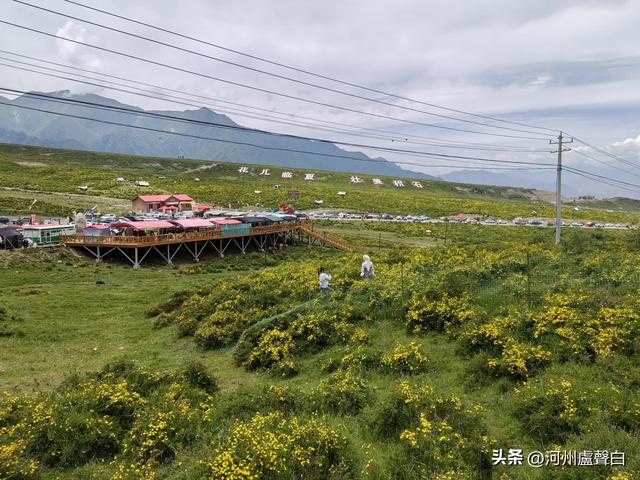 盧世明：盛夏游积石山