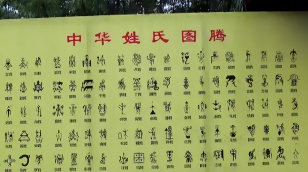 中国有个姓氏，非常罕见，全国只有17人，全都生活在一个小县城