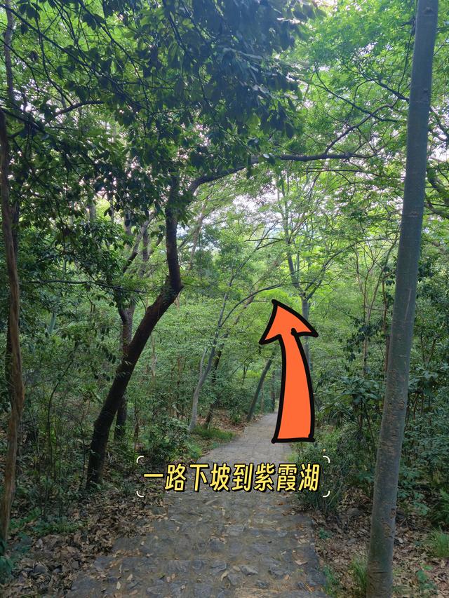 南京明孝陵免费玩法攻略