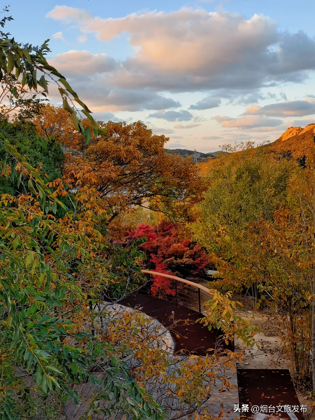 【乐游烟台】烟台开车1小时到达的小众赏秋秘境，人少景美！
