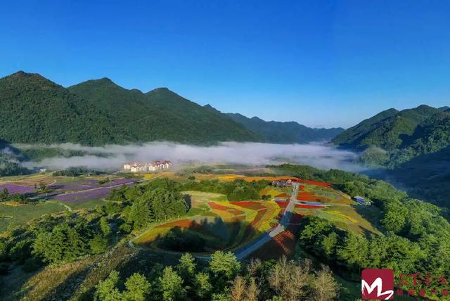 乘渝厦高铁 享鲁渝新风——鲁渝协作农文旅高质量发展暨精品主题线路推介活动在重庆黔江启动