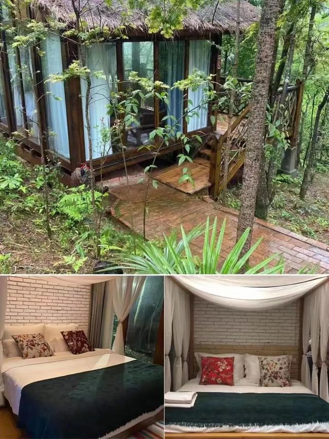 盛夏纳凉好去处—月坝康养度假连住优惠啦！