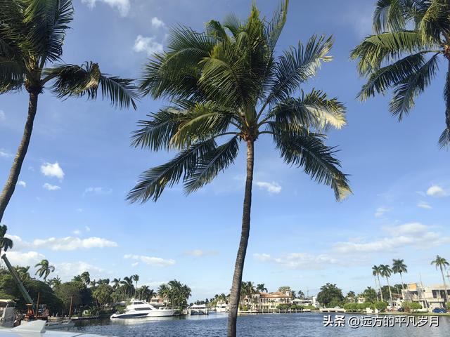 迈阿密游记五