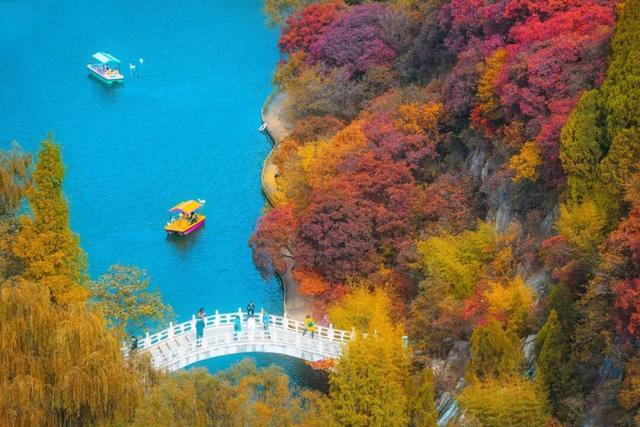 魅力济南‖深秋赴约红叶谷，万山红遍醉金秋