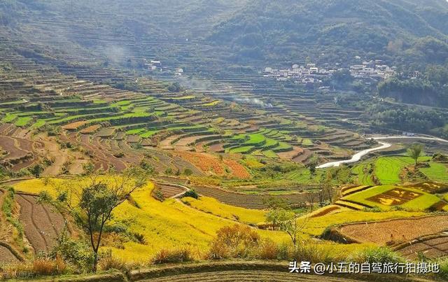 绍兴 11 月赏秋攻略｜6 处绝美秋景地，承包江南的红枫金稻与红柿