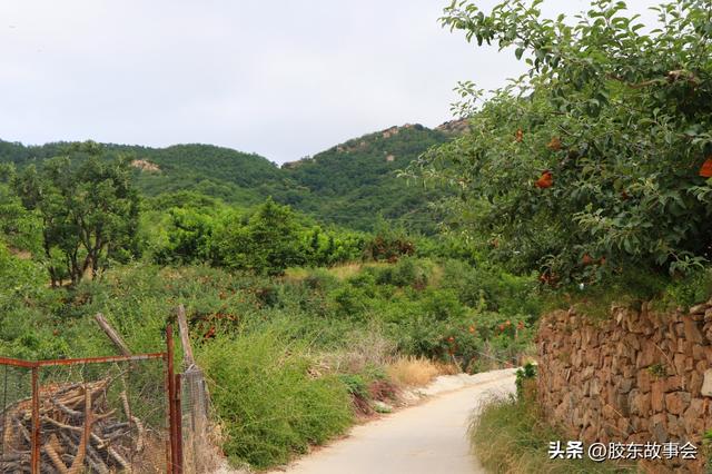 组图：蓬莱龙口交界线上一个山村的实景，名字叫作“石门口”