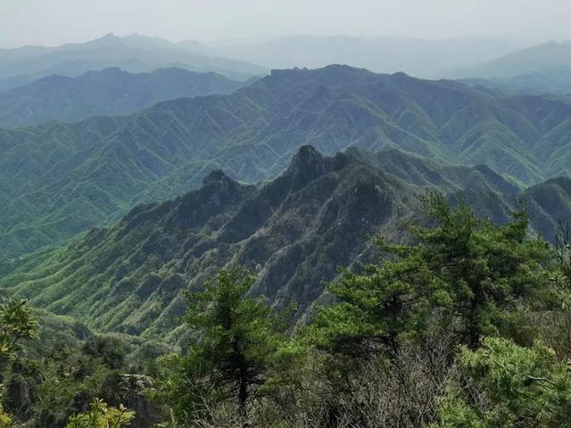 “天下无双圣境，世界第一仙山”的河南洛阳老君山