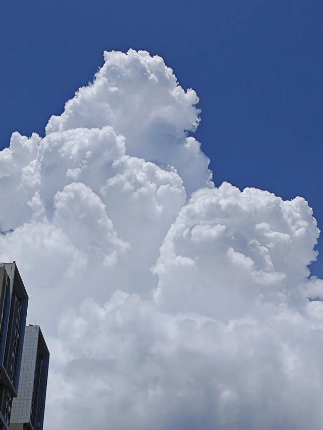 超大城市空气质量第一城，深圳的天空有多美？