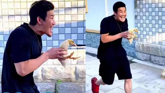 “小兵张嘎”谢孟伟被拘留！目无法纪，坑蒙老百姓，这次彻底凉凉