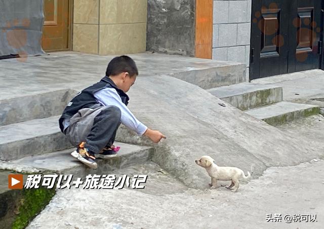 青堤古镇 ：老街旧屋，留守远去的光阴（青堤小记①）