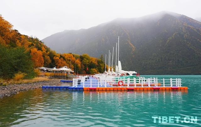 西藏林芝：秋色斑斓 雨落巴松错