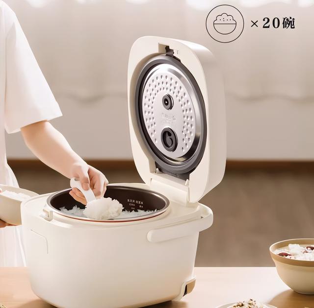 电饭锅怎么选？八大品牌斥巨资测评分析，干货满满精准选购