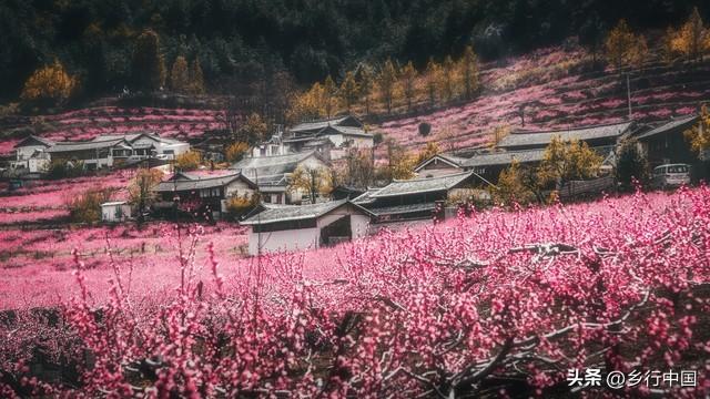 南部县寺外桃源景区：景村-乡镇-片区联动助力南西盐三县文旅发展