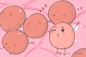 AMH0.26到自怀，坚持养卵3个月，卵巢早衰成功上岸！图片