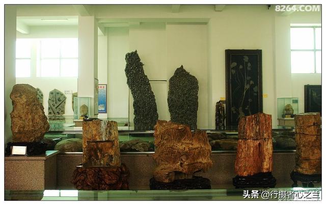 山东行游影记（34）—平邑天宇自然博物馆（九）