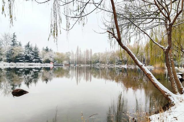 赴一场校园雪约,猜猜哪栋是你的 “温暖小窝”