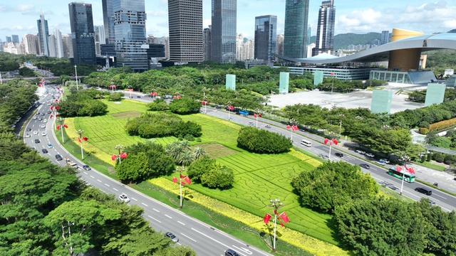 双节“趣”深圳：公园藏满限定玩法，不出深都有多样体验
