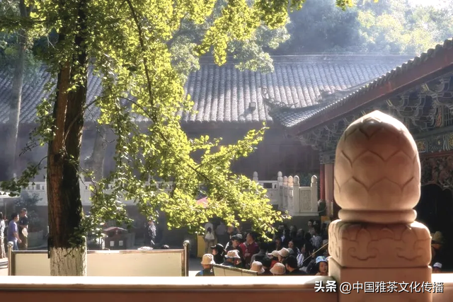 乐山大佛与三江之美：诗意山水间的千年守望