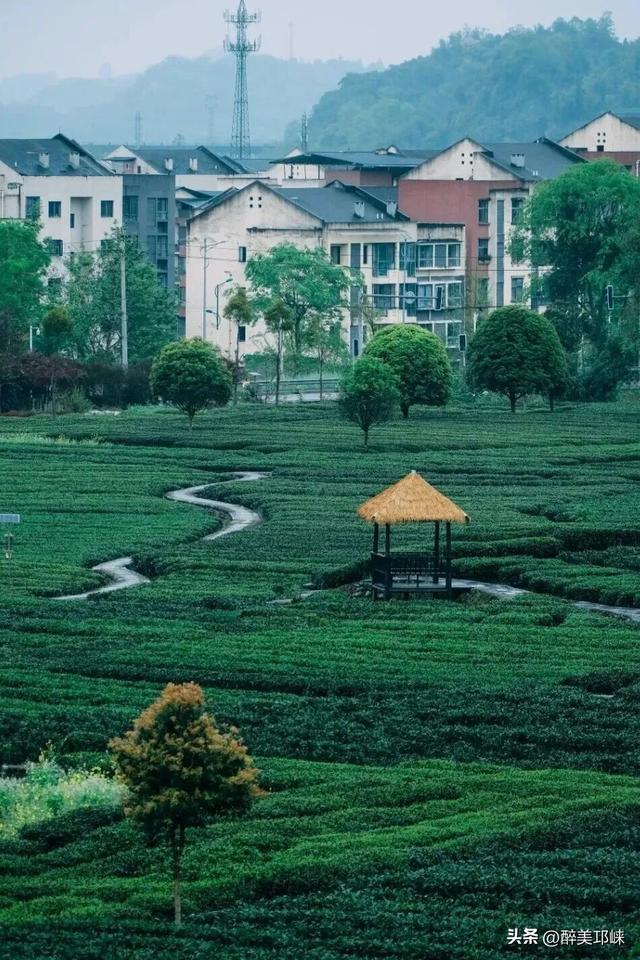 看完《山水间的家》，一人说一个爱上夹关镇的理由！