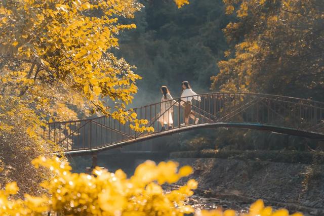 美如仙境！韶关这个地方迎来今年首场冰挂雾凇景观，秋冬来旅行，赏雪泡泉看红枫为你安排好了