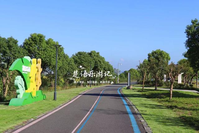 浙江宁波新推出一个粉黛花海，居然绵延5公里，成为拍照赏景胜地