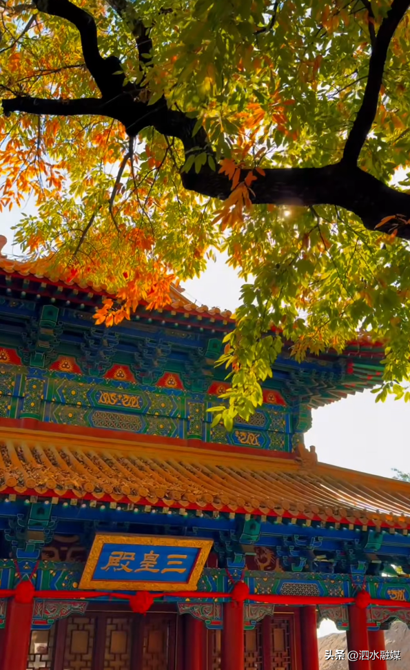 咔嚓🤳！抓住济宁秋天的“小尾巴”~