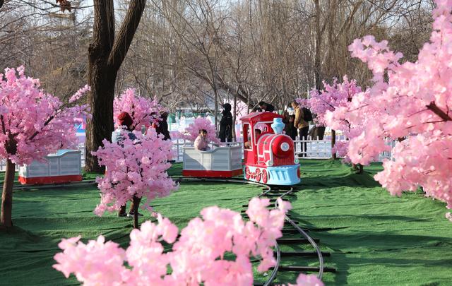 玉渊潭公园第十七届冰雪季启幕 全新百米冰滑梯领衔冬日畅玩