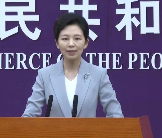 荷兰约见中方高层，请求解决断供危机，但是拒绝向中方认错