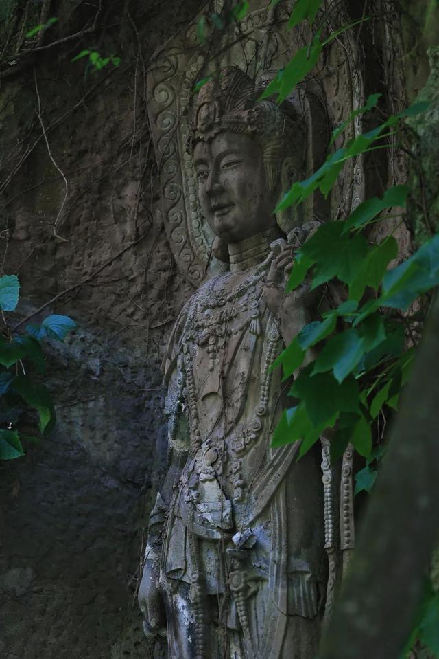 报告！新发现都江堰隐藏款“绿野仙踪”🤟