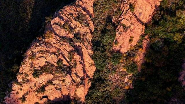 点击解锁红山国家森林公园的秋日“童话世界”→