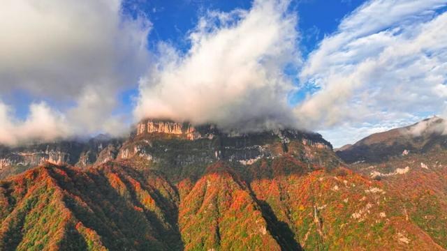 周末秋游石门栈道、黎坪、龙头山、兴汉胜境两天一晚深度游上线！