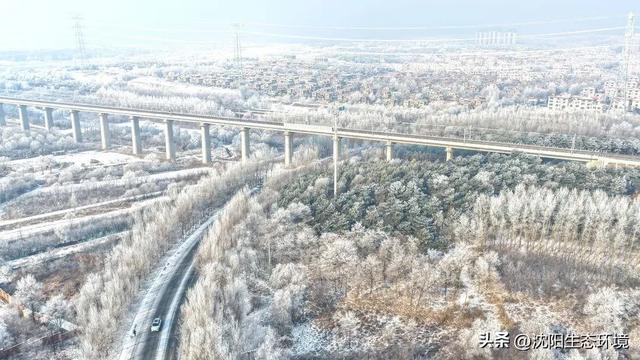 沈阳生态之美 | 沈阳棋盘山雾淞漫卷