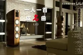 9小时 一次听个够 高品质 一人一首成名曲248首图片