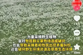 内蒙古查处24人，采摘野生沙葱、韭菜花、蘑菇违法，评论区笑死人图片