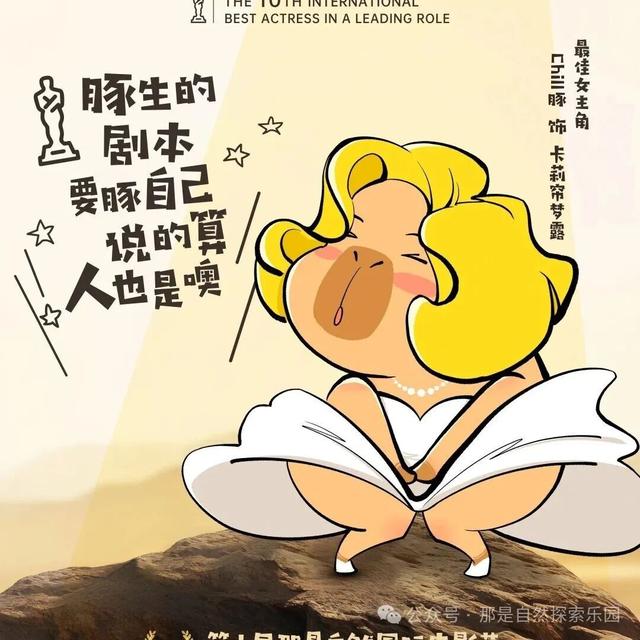 没有小角色 只有小爪爪｜首个动植物文旅社区国庆节南京开“宠”