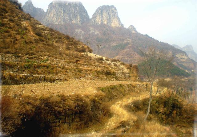 “中原走笔”之四 ― 少林寺杂记