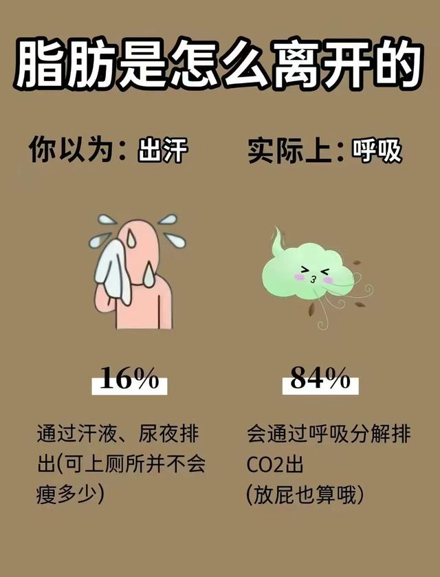 脂肪离开身体的顺序，90%的人都错了