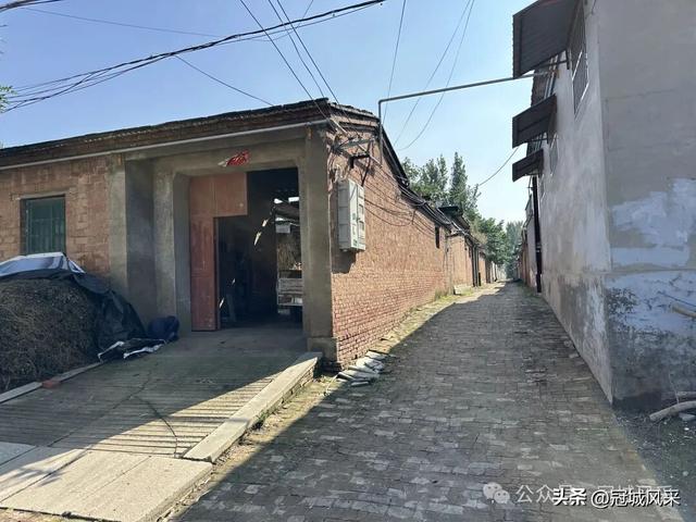 冠县乡韵·兰沃乡大柳邵村