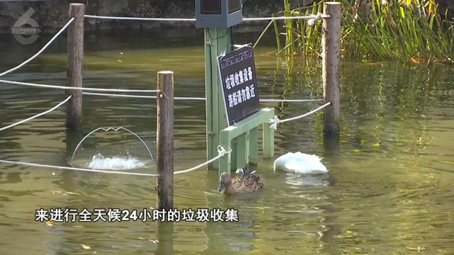 10人路过，9人停下猜！翠湖里的这些桶在干嘛？