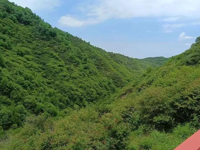 在定西，如果春天有颜色，那一定是______