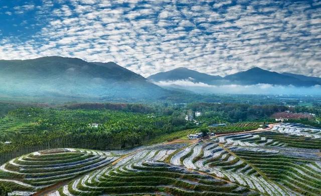 “Hainan Travel”新攻略来了！GO GO GO~