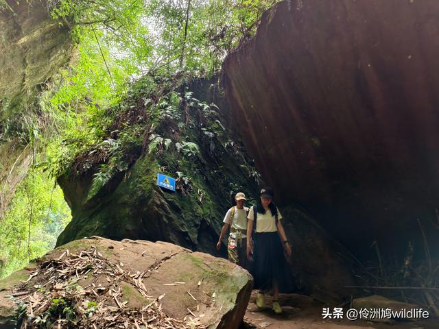 成都徒步（66）·邛崃篇⑥皮缝峡谷·皮缝古道