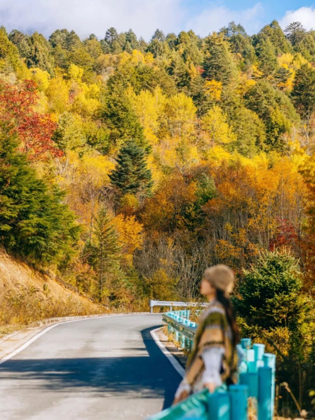 最佳观赏期！雅安的红叶彩林“封神”啦！