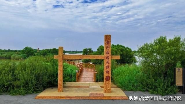 【黄河口生态旅游区】秋日出游全攻略 赏“大自然的调色盘”