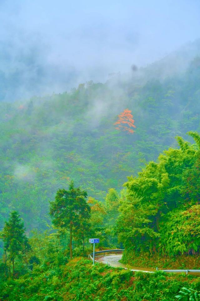 走，到屏山老君山赏秋去→